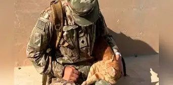 Gato callejero rescatado por una soldado en Medio Oriente podría empezar una vida llena de esperanza en EE. UU. Gato callejero rescatado por una soldado en Medio Oriente podría empezar una vida llena de esperanza en EE. UU.