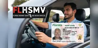 Licencia de conducir en Florida: FLHSMV modifica los requisitos para este grupo de personas en EE. UU. Licencia de conducir en Florida: FLHSMV modifica los requisitos para este grupo de personas en EE. UU.