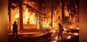 California: nueva ley prohíbe una actividad clave para los agricultores en medio de los incendios en Los Ángeles California: nueva ley prohíbe una actividad clave para los agricultores en medio de los incendios en Los Ángeles