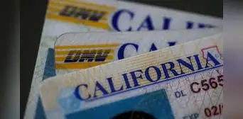 Licencias de conducir: los 5 estados que entregan más rápido esos permisos a inmigrantes en Estados Unidos 2025 Licencias de conducir: los 5 estados que entregan más rápido esos permisos a inmigrantes en Estados Unidos 2025