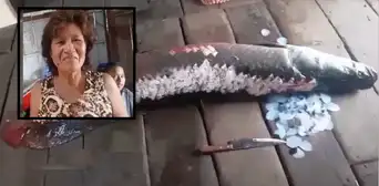 Iquitos: Familia encuentra enorme paiche de 2 metros y casi 80 kilos dentro de su vivienda