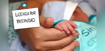 Aprueban por insistencia ampliar licencia por paternidad para trabajadores del sector público y privado