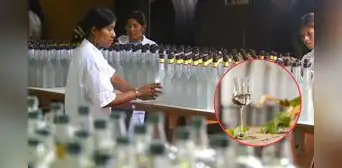 Esta región del Perú es la que más consume pisco a nivel nacional: bebida emblema a base de uva es la más representativa del país Esta región del Perú es la que más consume pisco a nivel nacional: bebida emblema a base de uva es la más representativa del país