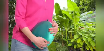 La planta natural que mejora tu descanso, favorece la digestión y fortalece tus defensas: es utilizada en la cocina La planta natural que mejora tu descanso, favorece la digestión y fortalece tus defensas: es utilizada en la cocina