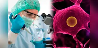 Un descubrimiento sobre el Parkinson revela que ya tendría tratamiento con un medicamento aprobado por la FDA Un descubrimiento sobre el Parkinson revela que ya tendría tratamiento con un medicamento aprobado por la FDA