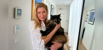 Gata es abandonada por error en un avión y hace 3 viajes: voló Nueva Zelanda y Australia en 24 horas