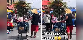 Peruano innova al vender agua de coco con palmera incluida en Lima: "Creatividad sobra" Peruano innova al vender agua de coco con palmera incluida en Lima: "Creatividad sobra"