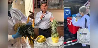 Jaime Delgado advierte altos niveles de agroquímicos en cáscaras de piña peruana, mientras que fruta se exporta a países como EE. UU.