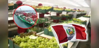 Esta región del Perú lidera la agroexportación de frutas como arándanos y paltas: suma US$2.271 millones y supera a Ica