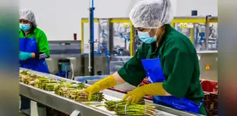 Proyecto Olmos diversifica la economía y lleva a Lambayeque al mercado global Proyecto Olmos diversifica la economía y lleva a Lambayeque al mercado global