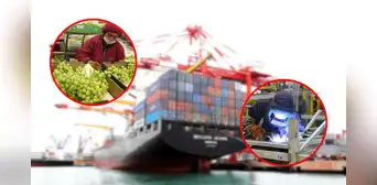 Adex revela los sectores que impulsarán las exportaciones peruanas en 2025: ¿cuáles son las ventajas y desafíos? Adex revela los sectores que impulsarán las exportaciones peruanas en 2025: ¿cuáles son las ventajas y desafíos?