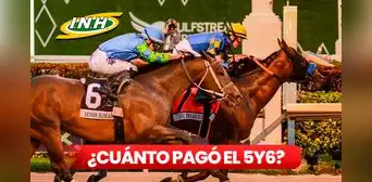¿Cuánto pagó el 5y6 del Hipódromo La Rinconada HOY, 26 de enero? El monto sellado supera los 45 millones de bolívares