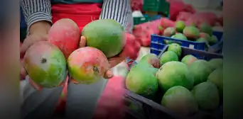 Crisis del mango en Perú: agricultores en alerta mientras el Gobierno impulsa la frambuesa como solución Crisis del mango en Perú: agricultores en alerta mientras el Gobierno impulsa la frambuesa como solución