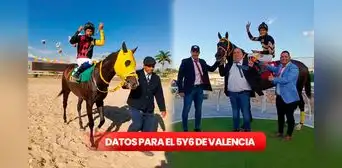 Datos superfijos 5y6 Valencia, sábado 1 de febrero: pronósticos de Gaceta Hípica y Línea Brava para la R02 en HINAVA Datos superfijos 5y6 Valencia, sábado 1 de febrero: pronósticos de Gaceta Hípica y Línea Brava para la R02 en HINAVA