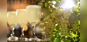 ¿Cuándo es el Día del Pisco Sour en 2025? Conoce el origen e historia de la bebida emblema del Perú ¿Cuándo es el Día del Pisco Sour en 2025? Conoce el origen e historia de la bebida emblema del Perú