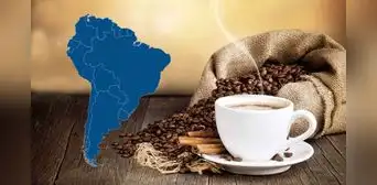 Este es el país que se posiciona como el mayor productor de café del mundo: está en Sudamérica y no es ni Colombia ni Perú Este es el país que se posiciona como el mayor productor de café del mundo: está en Sudamérica y no es ni Colombia ni Perú