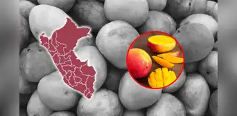 Estas son las regiones peruanas más afectadas por el exceso de producción de mango en 2025: representan el 95% de las coseshas Estas son las regiones peruanas más afectadas por el exceso de producción de mango en 2025: representan el 95% de las coseshas