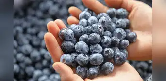 10 beneficios de los arándanos: ¿para qué sirve y cuáles son sus propiedades?