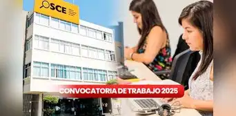 Convocatoria OSCE: revisa los puestos de trabajo con sueldos de hasta S/7.000 y pasos para postular Convocatoria OSCE: revisa los puestos de trabajo con sueldos de hasta S/7.000 y pasos para postular