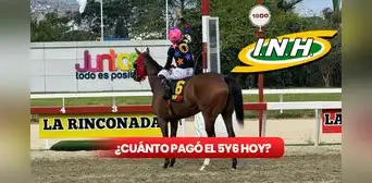¿Cuánto pagó el 5y6 de La Rinconada el 2 de febrero? Los millonarios dividendos del INH para cuadros con 6 aciertos ¿Cuánto pagó el 5y6 de La Rinconada el 2 de febrero? Los millonarios dividendos del INH para cuadros con 6 aciertos