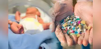 Científicos de EE. UU. alertan que microplásticos en la placenta podrían estar vinculados a partos prematuros Científicos de EE. UU. alertan que microplásticos en la placenta podrían estar vinculados a partos prematuros