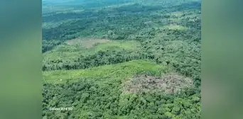 Líderes indígenas exigen al Mincul creación de la Reserva Yavarí Mirim Líderes indígenas exigen al Mincul creación de la Reserva Yavarí Mirim