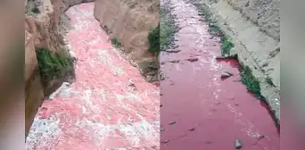Sedapal sobre el cambio de color del río Rímac a rojo: "Probablemente alguien haya echado algo"