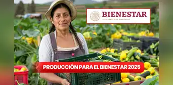 Producción para el Bienestar 2025 ofrece apoyo de 24 mil pesos para cultivos agrícolas: cómo solicitarlo y que requisitos debo cumplir Producción para el Bienestar 2025 ofrece apoyo de 24 mil pesos para cultivos agrícolas: cómo solicitarlo y que requisitos debo cumplir