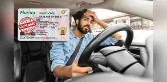 Licencia de conducir en Florida: el FLHSMV le revocará el permiso a estos conductores de EE. UU. en 2025 Licencia de conducir en Florida: el FLHSMV le revocará el permiso a estos conductores de EE. UU. en 2025