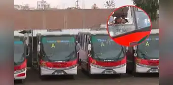 Buses de empresa 'Chama' paralizada: acatan paro de transportistas tras atentado contra chofer Buses de empresa 'Chama' paralizada: acatan paro de transportistas tras atentado contra chofer