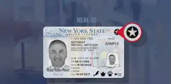 Licencia de conducir en Nueva York: los 5 requisitos que deben cumplir los inmigrantes indocumentados en febrero