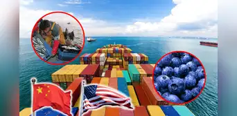 Perú logra récord histórico en exportaciones de US$74.664 millones: productos llegaron a China, EE. UU., Chile y más Perú logra récord histórico en exportaciones de US$74.664 millones: productos llegaron a China, EE. UU., Chile y más