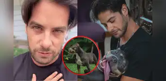 Andrés Wiese sufre por su perrita Menta tras recibir diagnóstico de cáncer: "Estoy hecho un mar de lágrimas"