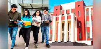 Proponen incluir el 'ciclo cero' para ingresar a universidades: en qué consiste y cuáles son los requisitos
