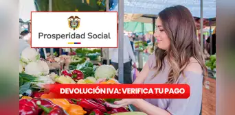 ¡Atención beneficiarios! Devolución del IVA febrero 2025: cómo consultar si cobras los ciclos 5 y 6 ¡Atención beneficiarios! Devolución del IVA febrero 2025: cómo consultar si cobras los ciclos 5 y 6