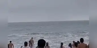 Hallan cadáver de menor desaparecido en playa La Ensenada: padre reconoció cuerpo tras más de 7 días de búsqueda