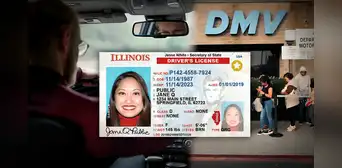 Licencia de conducir en Illinois: requisitos para obtener este documento sin estatus migratorio legal en Estados Unidos