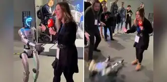 Reportera prueba en vivo la 'resistencia' de robot y lo derriba de un empujón: empresa responde Reportera prueba en vivo la 'resistencia' de robot y lo derriba de un empujón: empresa responde