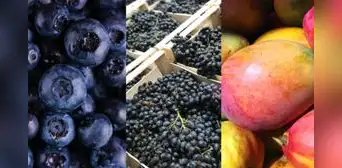 Agroexportaciones cerraron el 2024 con récord de US$12.798 millones: ¿qué productos destacaron? Agroexportaciones cerraron el 2024 con récord de US$12.798 millones: ¿qué productos destacaron?