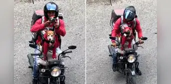 Perrito enternece al ‘trabajar’ como delivery junto a su dueño: "Así se gana sus croquetas" Perrito enternece al ‘trabajar’ como delivery junto a su dueño: "Así se gana sus croquetas"