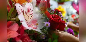 Feliz San Valentín: ¿qué flores regalar a tu pareja este 14 de febrero?
