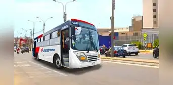 Aerodirecto: habrá insuficientes buses de transporte público para el nuevo aeropuerto Jorge Chávez Aerodirecto: habrá insuficientes buses de transporte público para el nuevo aeropuerto Jorge Chávez