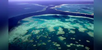 Científicos descubren gigante estructura submarina de 500 metros oculta en las profundidades del mar de Australia Científicos descubren gigante estructura submarina de 500 metros oculta en las profundidades del mar de Australia