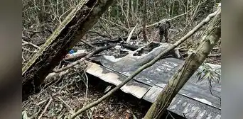 Fuerza Aérea de Brasil derriba avioneta venezolana cargada de droga sobre la Amazonia: los ocupantes murieron