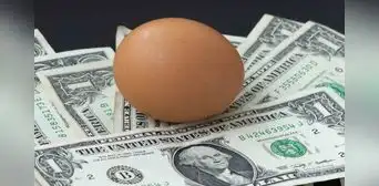 Precios de huevos: por qué se ha incrementado el valor de este producto alimenticio en EE. UU.