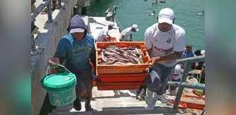 Economía peruana cerró el 2024 con un crecimiento de 3,3%, lejos de su máximo potencial Economía peruana cerró el 2024 con un crecimiento de 3,3%, lejos de su máximo potencial