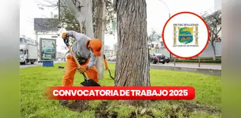 Trabajo para personas con primaria completa: Municipalidad de San Martín de Porres ofrece empleos con sueldos de S/1.500 Trabajo para personas con primaria completa: Municipalidad de San Martín de Porres ofrece empleos con sueldos de S/1.500