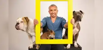 De inmigrante indocumentado en EE. UU. a 'el encantador de perros': la inspiradora historia de César Millán De inmigrante indocumentado en EE. UU. a 'el encantador de perros': la inspiradora historia de César Millán