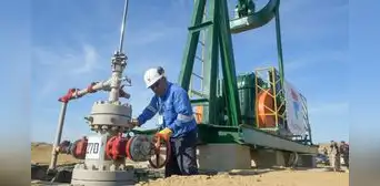 Perupetro: 15 postores interesados en adjudicarse los lotes I y VI en Talara Perupetro: 15 postores interesados en adjudicarse los lotes I y VI en Talara