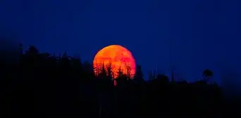 Eclipse lunar total 2025: cuándo y cómo ver desde Perú el fenómeno de la “Luna de sangre” Eclipse lunar total 2025: cuándo y cómo ver desde Perú el fenómeno de la “Luna de sangre”